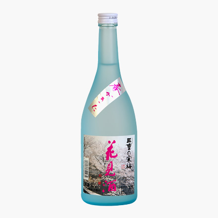 三重の寒梅 花見酒